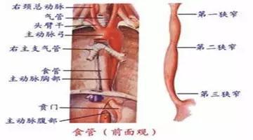 
各种癌症的早期信号，你